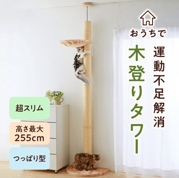 キャットタワー おうちで木登りタワー シングル 全高235cm〜255cm 猫