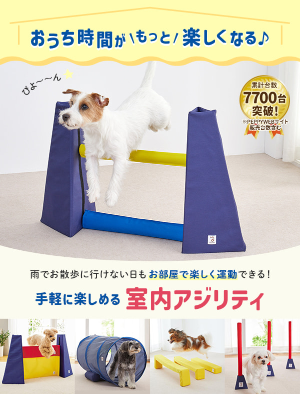 犬用おもちゃ　アジリティ　新品　3点セット　 PEPPY（ペピイ） 犬おもちゃ Sippole アジリティ ハードル 犬