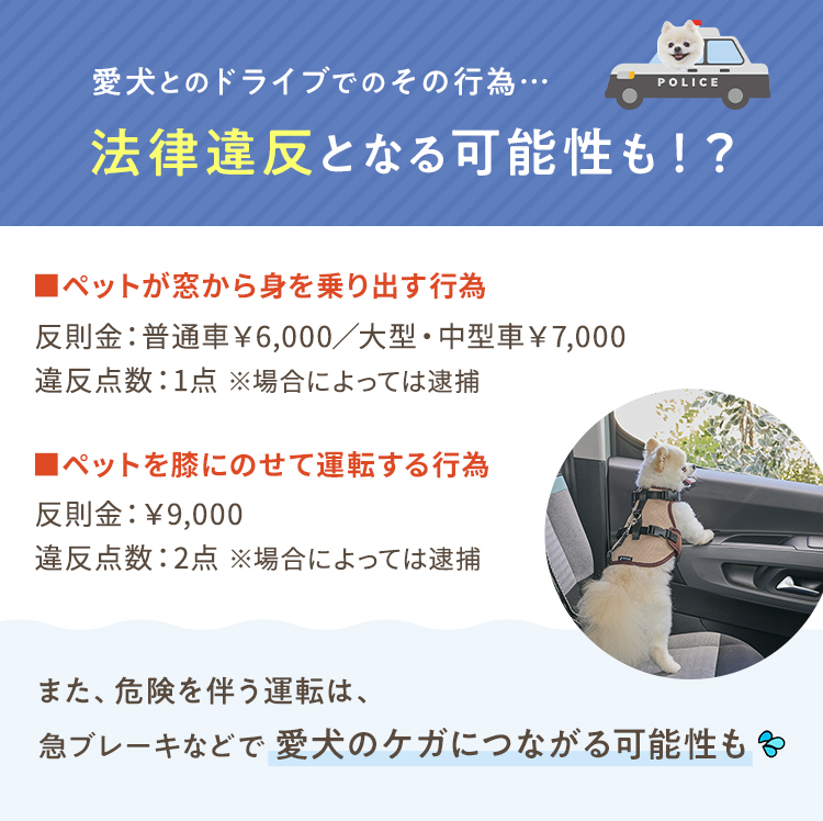 座ったまま景色が見えるドライブボックス 犬 ペット 車 ドライブ