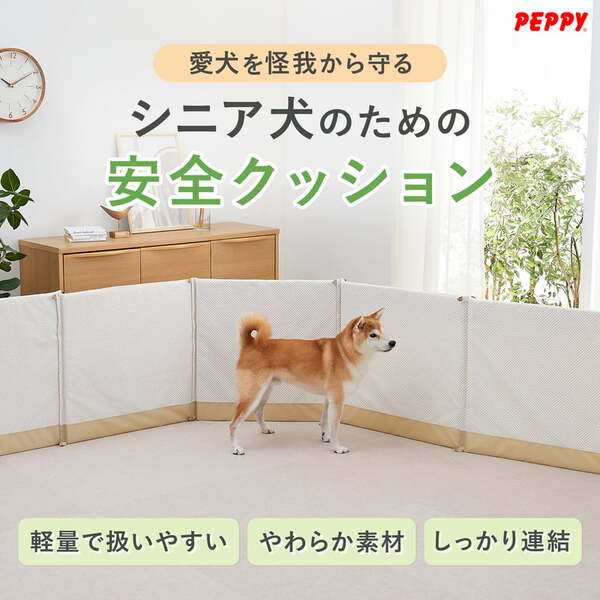 260305_cushion_pc01.jpg
