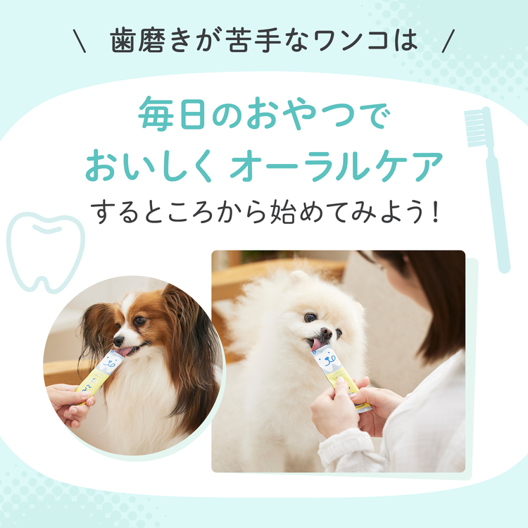 PEPPY（ペピイ） PEPPY LIFE わんみぃ L8020（オーラルケア） 50本 犬