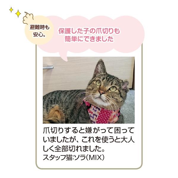 セール】 ニャンメッシュ : PEPPY ペピイ Yahoo!店 - 通販 - Yahoo