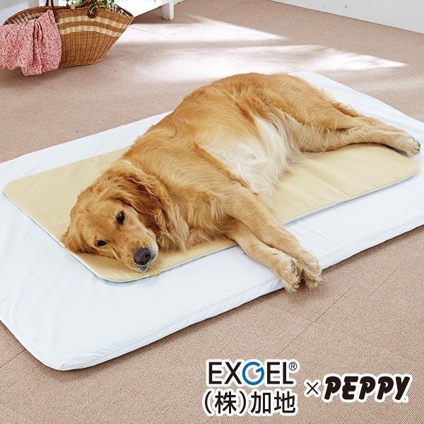 老犬 シニア アルテア体圧分散マット Mサイズ 介護用品 ベッド