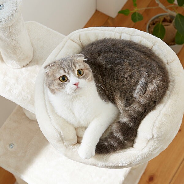 セール33％OFF やわらカップタワー キャットタワー ベージュ 爪とぎ 猫