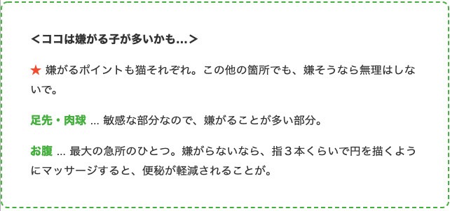 猫が撫でられるとうれしいポイントと絆を深める コミュニケーション術 Peppy ペピイ Paypayモール店 通販 Paypayモール
