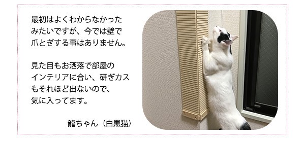 珍しい 壁に貼れる爪とぎボード 3枚 爪とぎ スクラッチ キズ隠し 壁 猫 猫用品 猫用 ペットグッズ 国産 日本産 楽天カード分割 Www Muslimaidusa Org