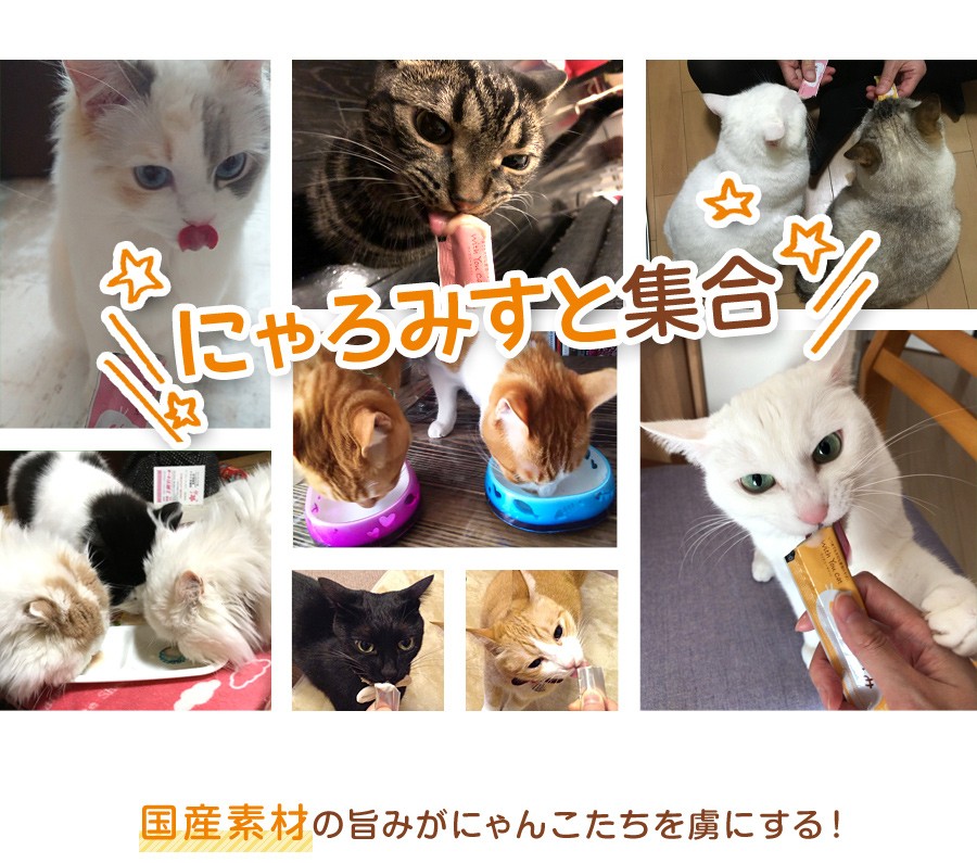 PEPPY（ペピイ） 猫 おやつ PEPPY LIFE にゃろみ 3種セット 75本