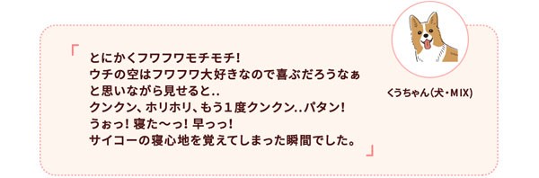 お客様のお声２