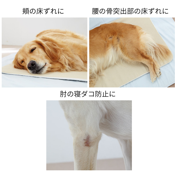 PEPPY（ペピイ） 老犬 シニア エクスジェルマット 介護用品 ベッド