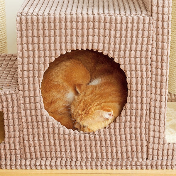 PEPPY（ペピイ） 【セール 35%OFF】キャットタワー ローステップタワー