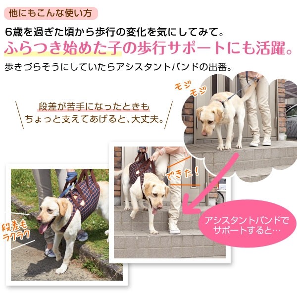 犬 介護 アシスタントバンド(歩行補助ハーネス） 約・着丈36×バスト