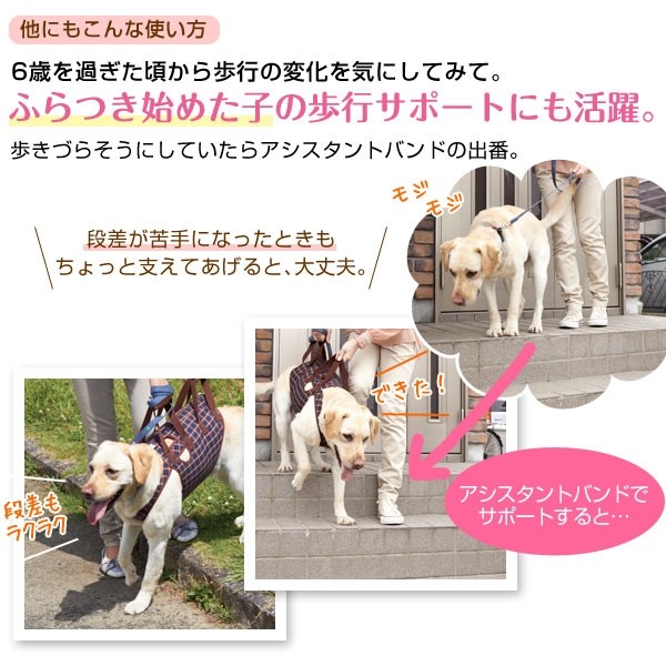 犬 介護 アシスタントバンド(歩行補助ハーネス） 約・着丈42×バスト