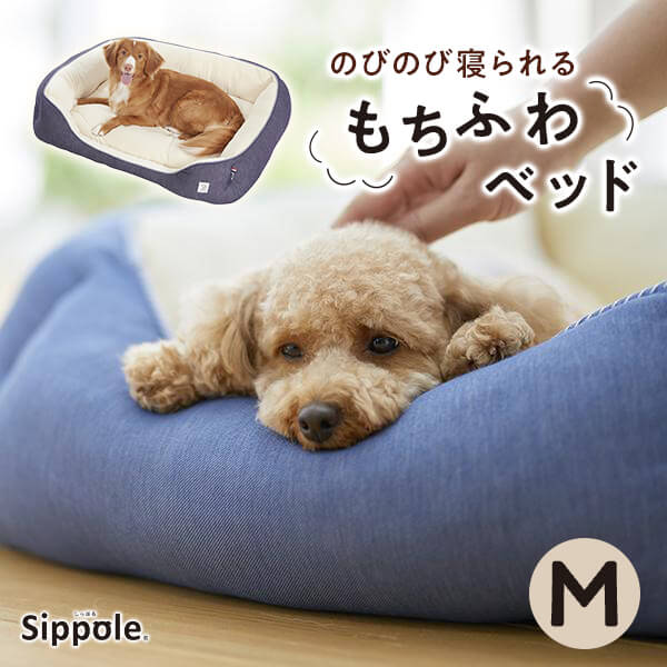 Evisbeats& Nagipan ぺぺ　PEPE新品未使用送料込み Amazon.co.jp: PEPE [2CD:完全生産限定盤]: ミュージック