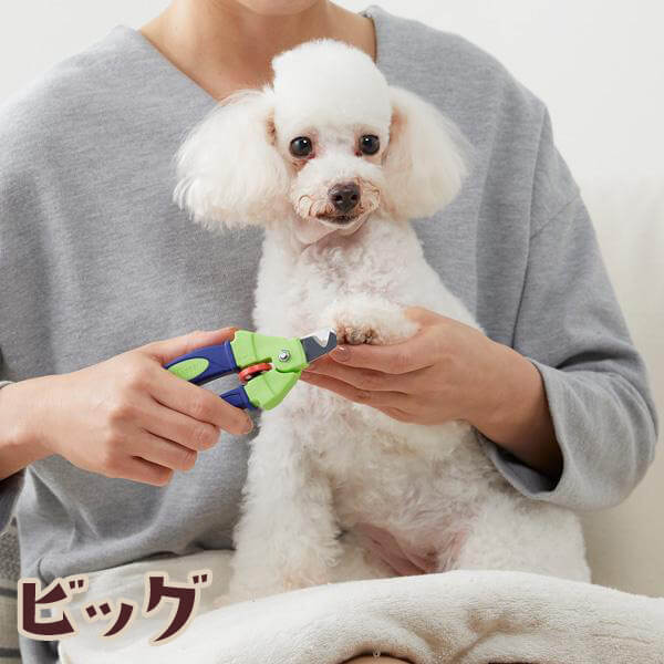犬 爪切り ゼンクリッパー プリサイス ビッグ つめきり 爪きり
