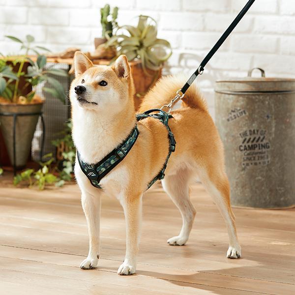 犬ハーネス ハクサン コンフォートゼロハーネス S : PEPPY
