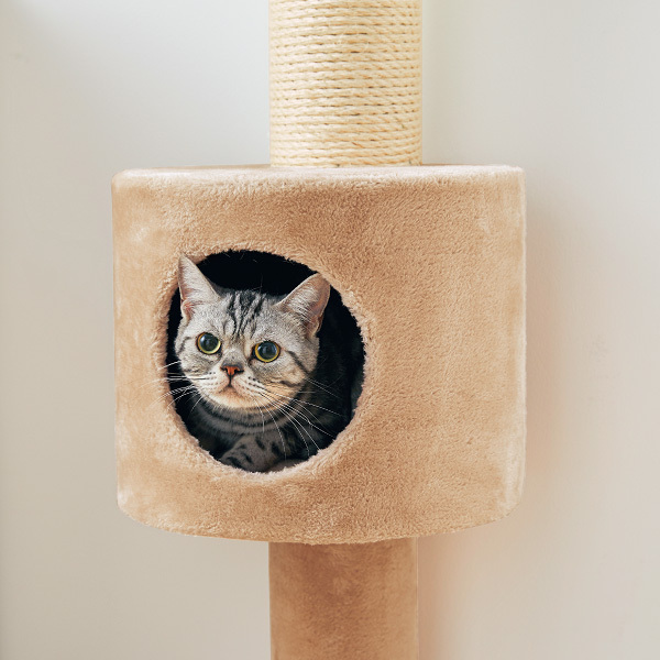 キャットタワー おうちで木登りタワーボックス付き (突っ張り型) 猫 