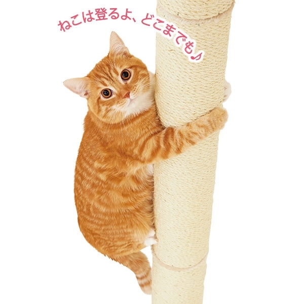 キャットタワー おうちで木登りタワーボックス付き (突っ張り型) 猫