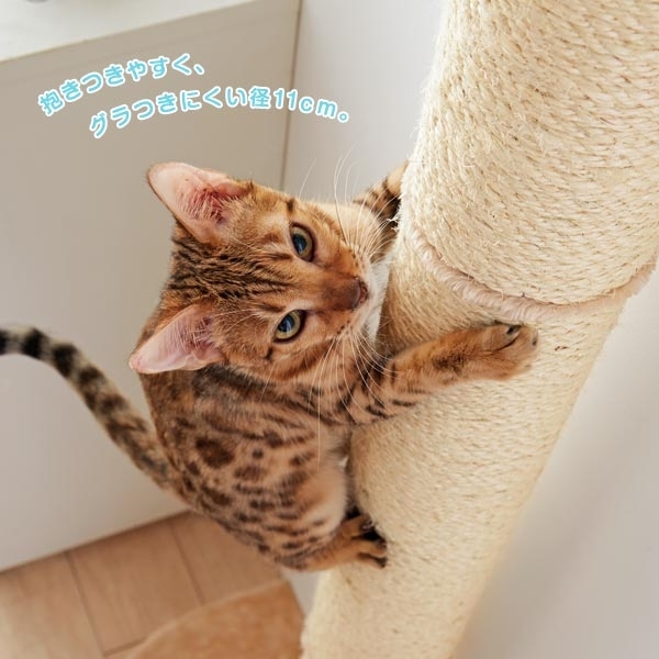 キャットタワー おうちで木登りタワーボックス付き (突っ張り型) 猫