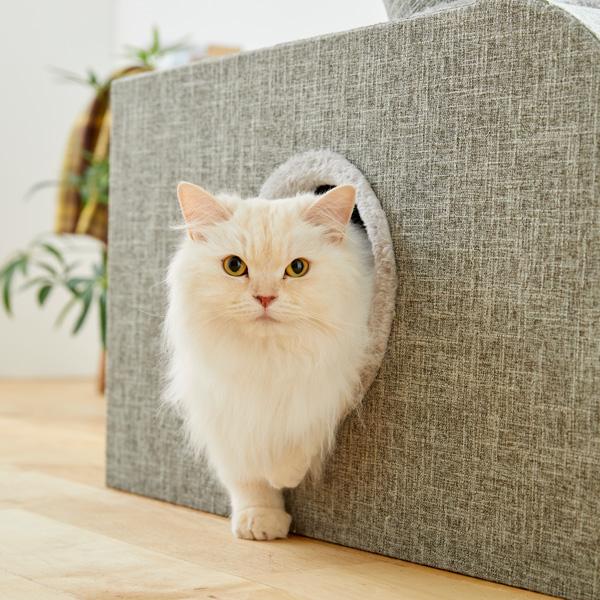 PEPPY（ペピイ） つながるトンネルタワー 猫 ねこ キャットタワー