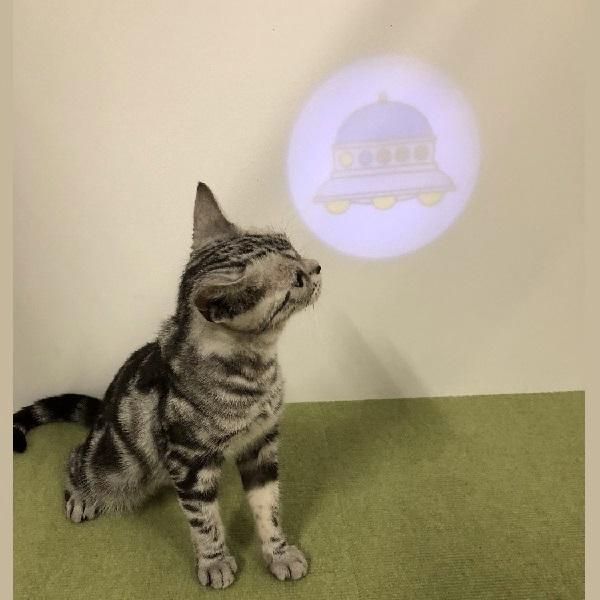 月刊ムーコラボ ＵＦＯプロジェクターライト 猫 ねこ おもちゃ UMA 