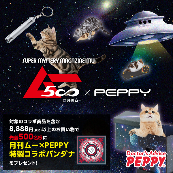 Amazon.co.jp: 宇宙の猫 宇宙猫 ライト : おもちゃ