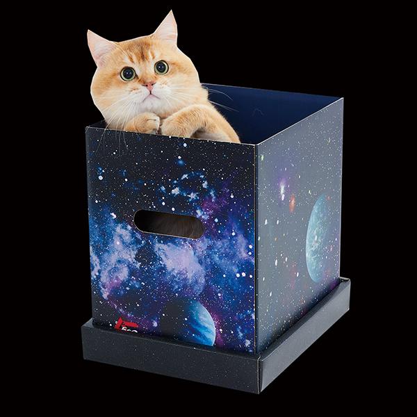 月刊ムーコラボ 宇宙猫製造BOX 猫 ねこ UMA 未確認動物 かわいい ペット :ra0418701:PEPPY ペピイ !店 通販  