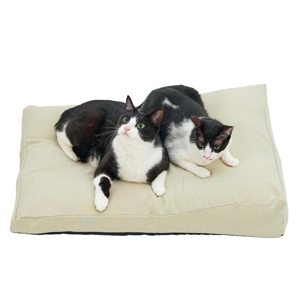 ペピィ もっちりローカウチ/犬猫用ベッド PEPPY 犬 ベッド 猫 もっちりローカウチ 本体 ペット 冬 高級