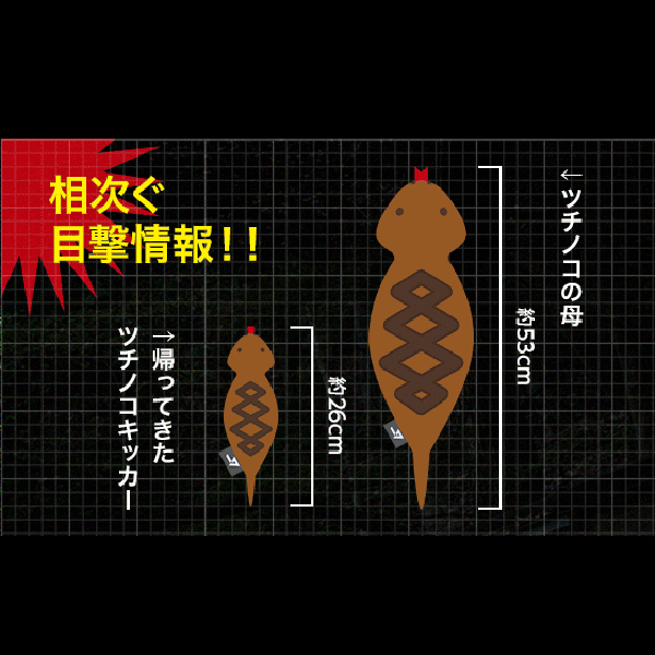 魅力的な ra0427901_1.jpg 応援グッズ