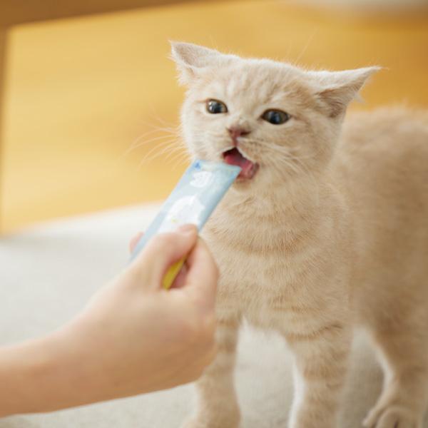 PEPPY 【 猫 おやつ 】Sippole にゃろみ L8020（オーラルケア