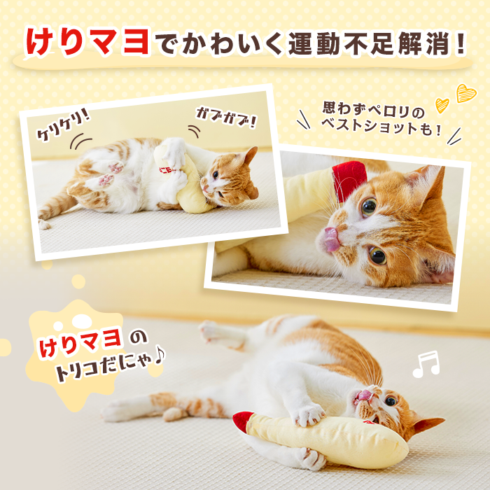 マヨにゃーの極意 楽しくケリケリ！