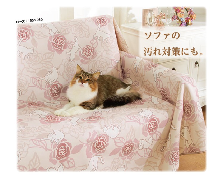 rosecat-04.jpg