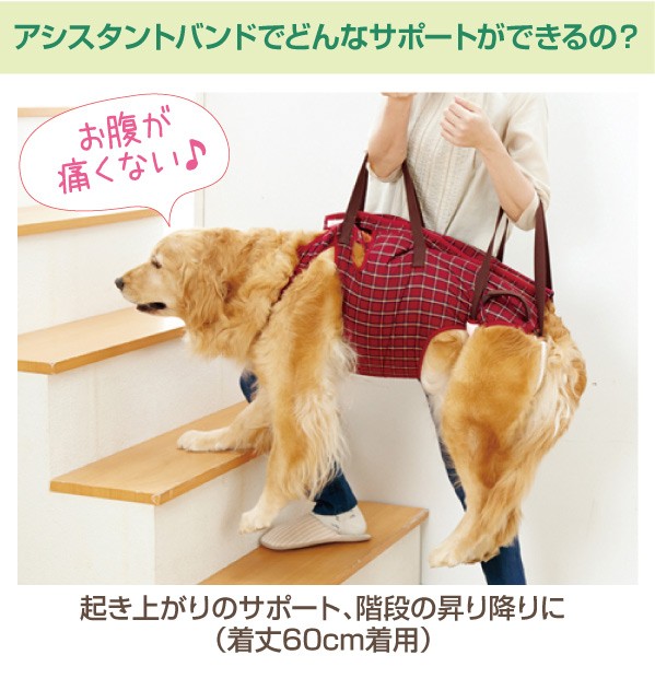 犬 介護 アシスタントバンド リフト 着丈52×バスト最小70×最大75cm、ウエスト68〜72cm シニア 老犬 補助 散歩 歩行 中型犬 大型犬