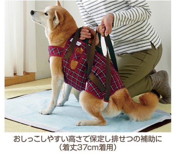 タイムセール！】 犬 介護 アシスタントバンド リフト 着丈60×バスト