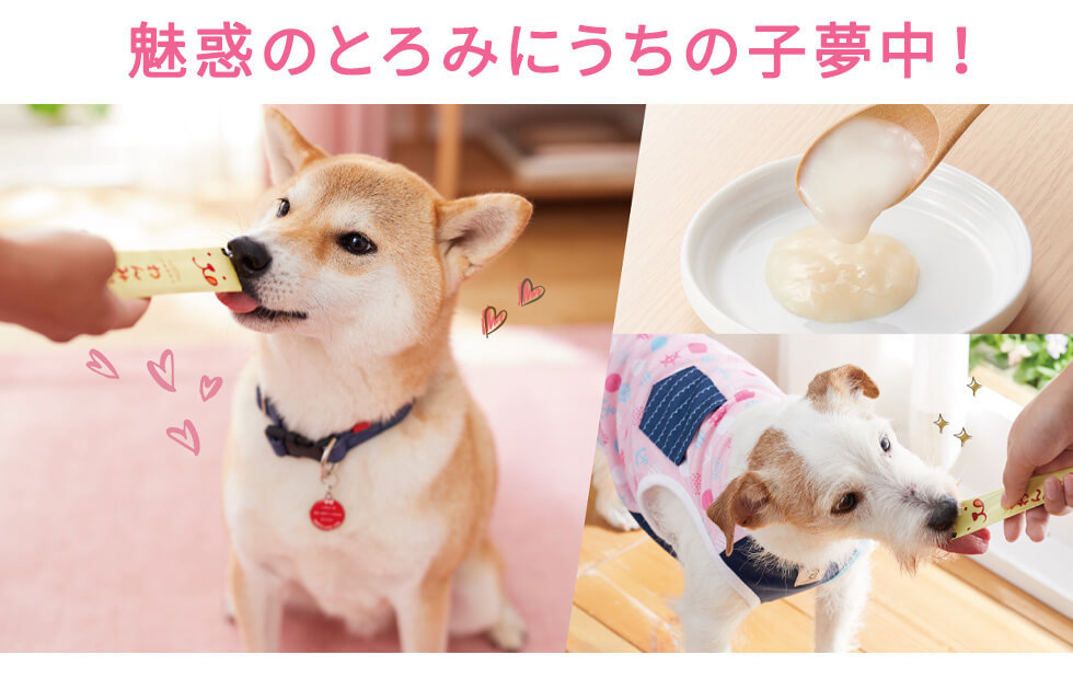 犬おやつ わんみぃ ささみ 5本 ｓｉｐｐｏｌｅ 犬 ペースト おやつ ご褒美 舐める 長持ち 国産 無添加 コミュニケーション しつけ ごほうび ペ Peppy ペピイ Paypayモール店 通販 Paypayモール