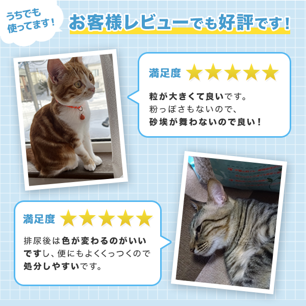 PEPPY（ペピイ） マジカルサンド 5L×12個 ほこりがたたない紙の猫砂 紙