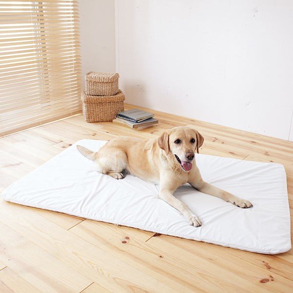 老犬 シニア アルテア体圧分散マット Sサイズ 介護用品 ベッド