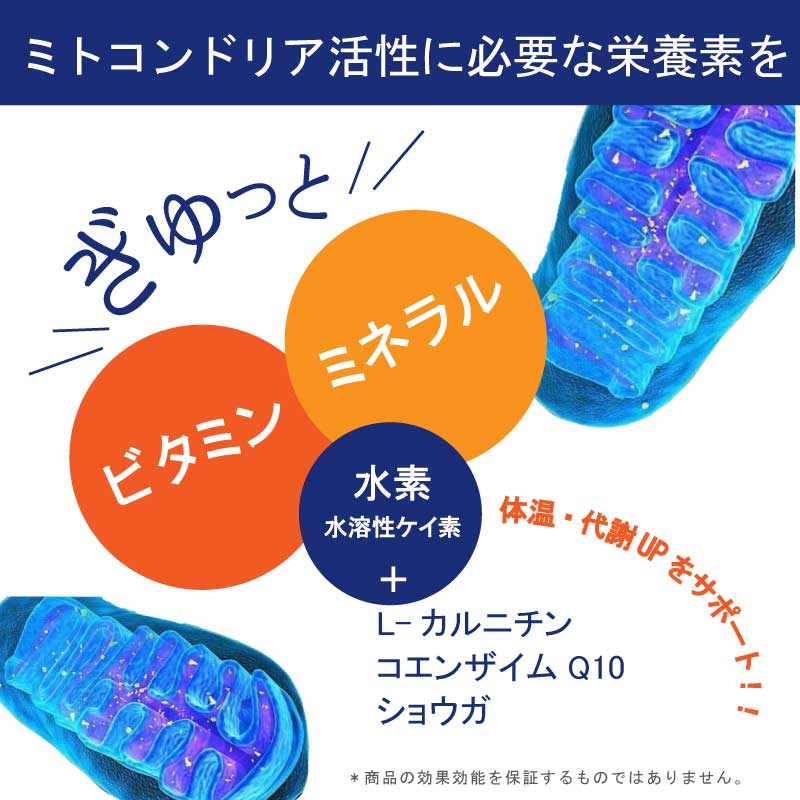 SOTHING加湿ヒーター スター | ファンヒーター 電気ヒーター 加湿器