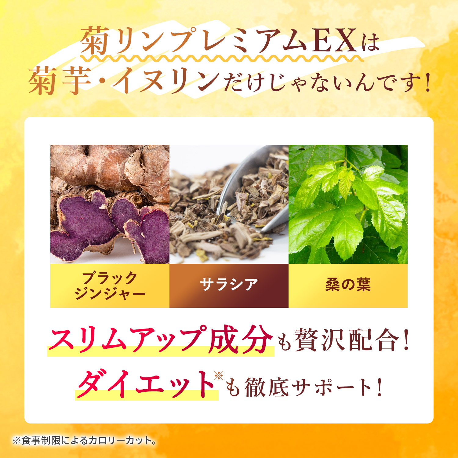 shinnihon_inulin_06.jpg