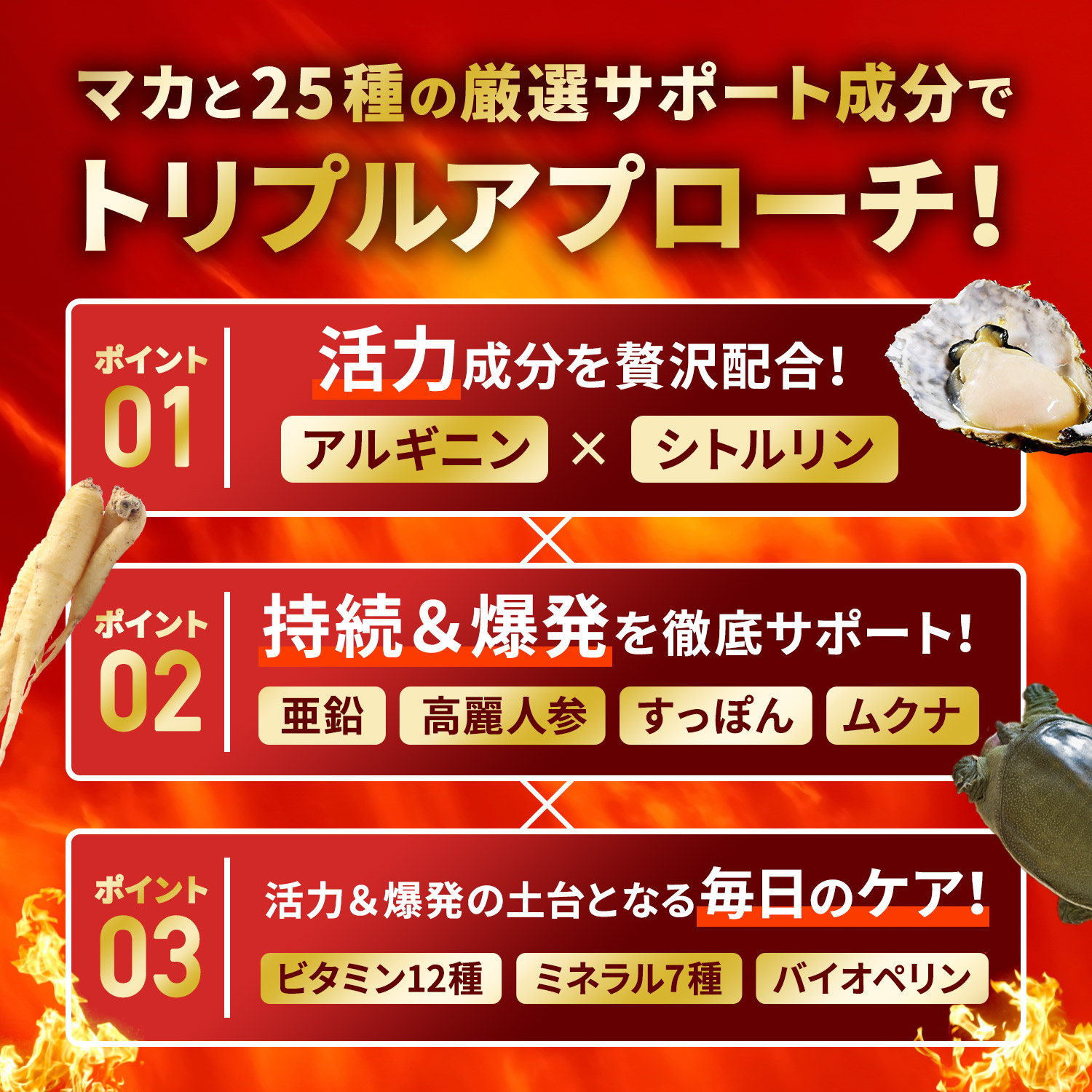 マカ 20倍濃縮マカ 120,000mg 活力×爆発力 亜鉛 シトルリン アルギニン
