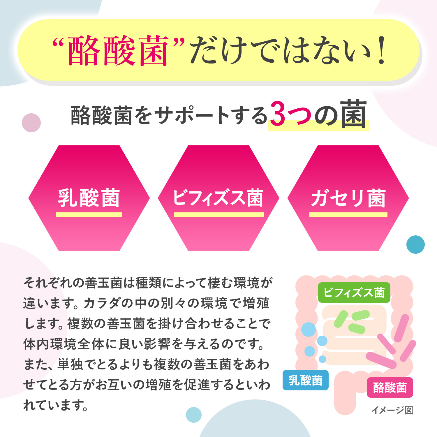 大特価.半額以下】スリビア乳酸菌酪酸菌30粒×3袋 - メルカリ