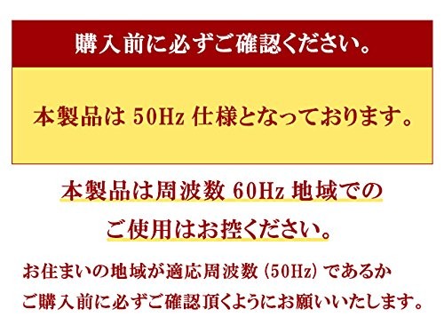 電動ウインチ 家庭用100V対応 強力小型ホイスト 50Hz 最大能力250kg