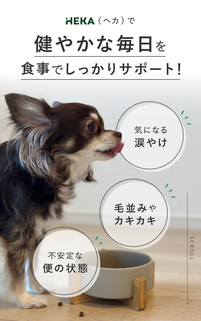 Amazon.co.jp: HEKA グレインフリー ドッグフード サーモン