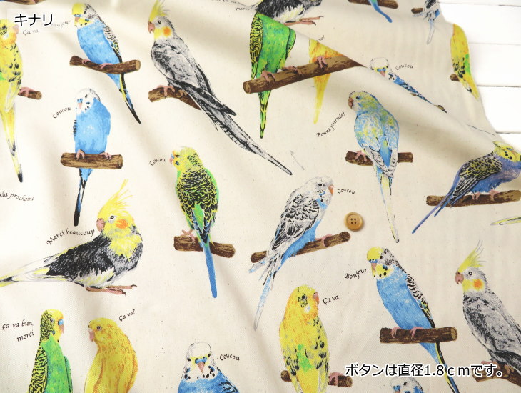 Libération　リベラシオン　ベロア帯　インコ オウム 鳥柄 インコ柄 【オーダー生地見本】の通販 by ようか's shop｜ラクマ