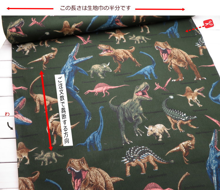 入園入学 生地 コットンオックス≪ダイナソー≫(814) 108cm巾 恐竜柄