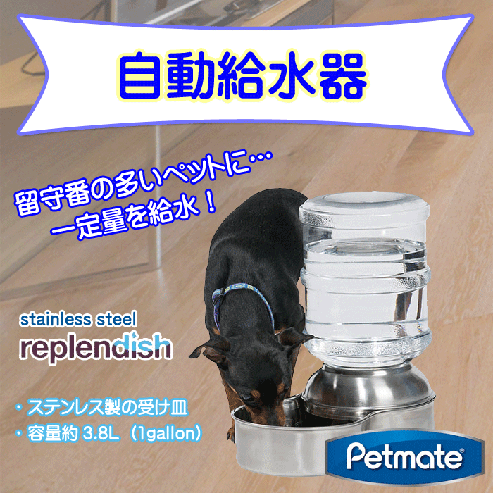 Petmate Replendish ステンレス製給水器 ペットステンレスウォーター 約3 8l ペットの道具屋さん 通販 Yahoo ショッピング