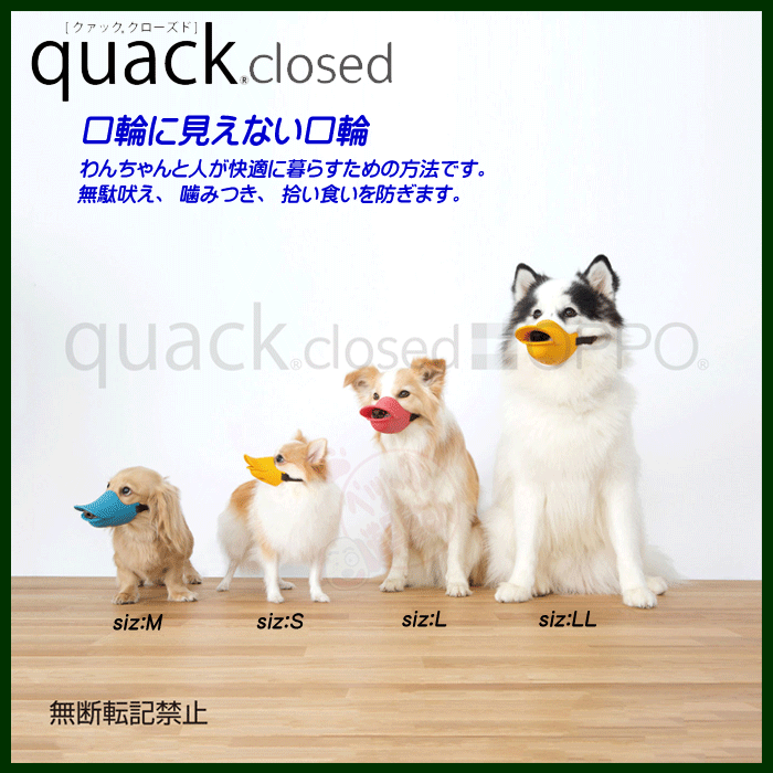 ≪正規品≫ＯＰＰＯ ｑｕａｃｋ ｃｌｏｓｅｄ Ｍ ブルー [4904771105468]