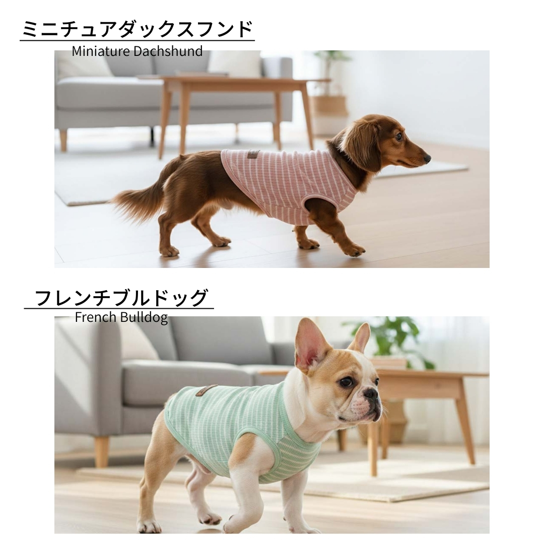 犬 服 袖なし おしゃれ ボーダーシャツ かわいい 防虫 犬服 ドッグ