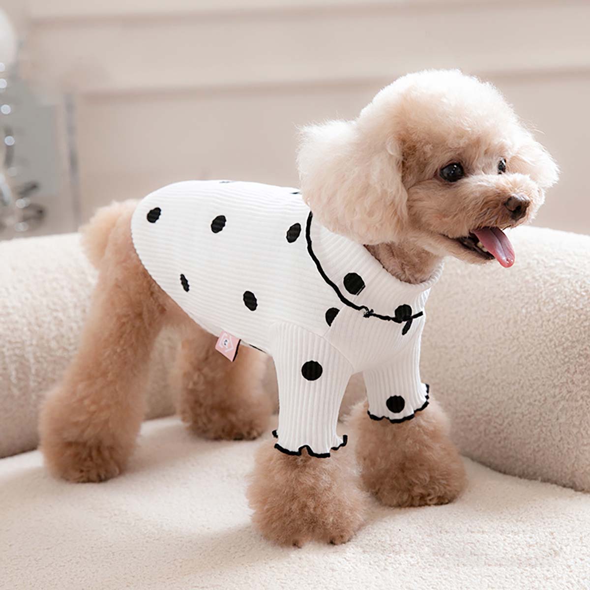 犬 服 ドットパターンシャツ かわいい 犬の服 春夏 秋冬 着せやすい
