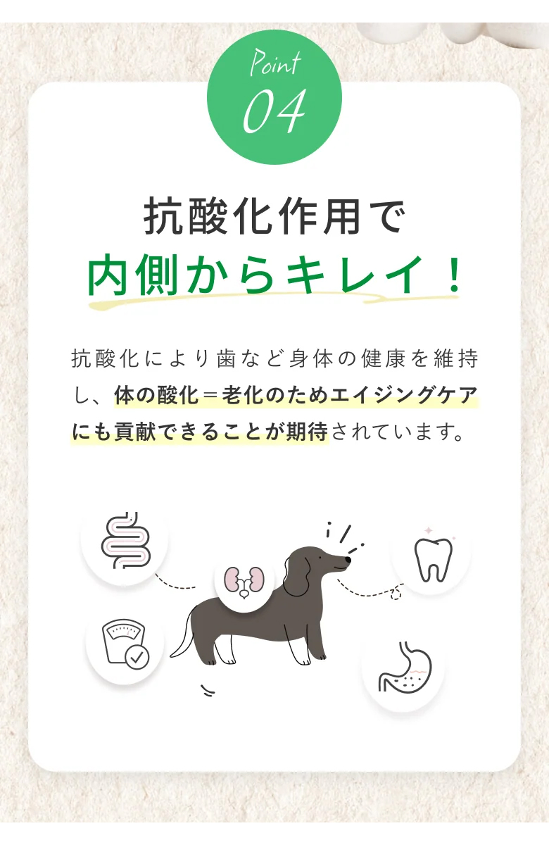 COZY MILK 犬 ミルク コージーミルク お米由来の発酵飲料 腎臓 カラダ