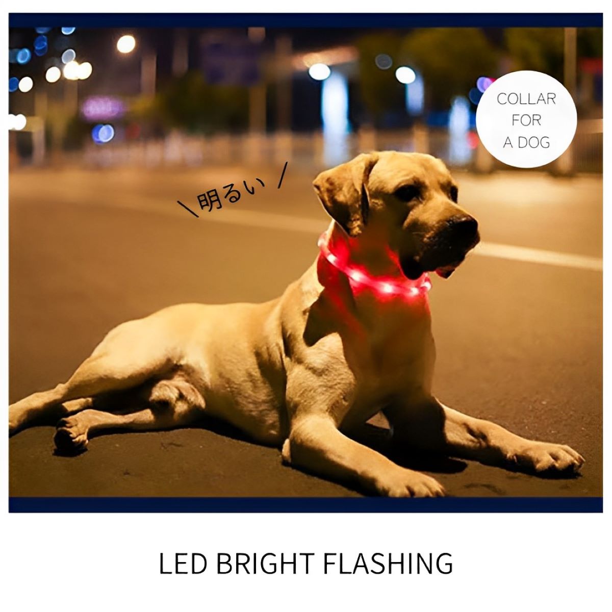 犬 光る首輪 USB 充電式 防水 LED ライト 明るい サイズ調整可 柔らかい 小型犬 中型犬 大型犬 軽量 簡単着脱 夜間 散歩 安全対策 送料無料｜pet-ground｜14